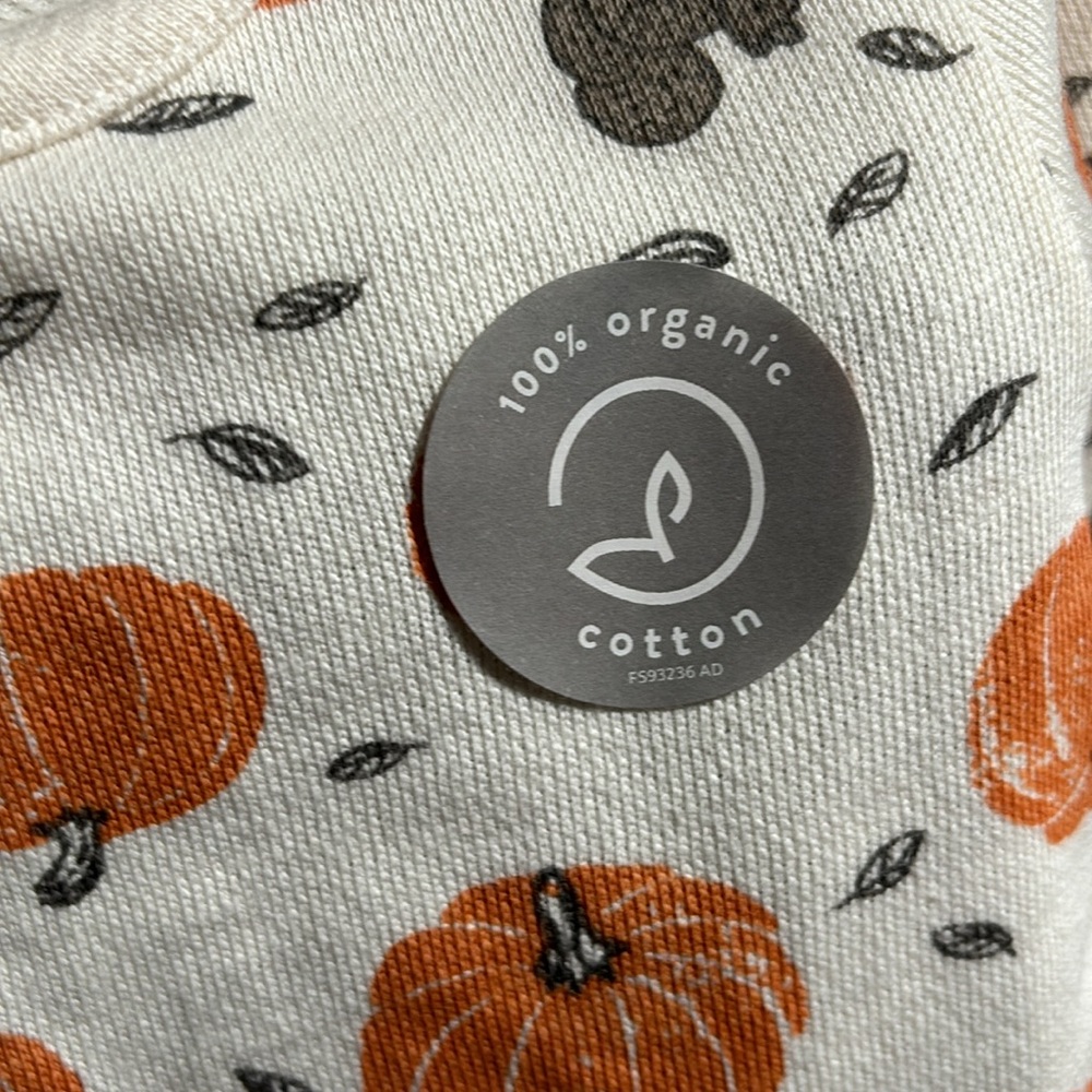 Little Planet by Carters size 12M Fall Pumpkin 2 piece outfit - Picture 5 of 6